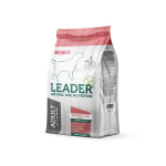 LEADER ADULT Sensitive Salmon Large Breed 2kg čisto z losossa