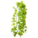 HOBBY IVY popínavá rastlina dekorácia do terária 70cm