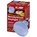 HOBBY Neodymium Daylight ECO 42W -denné halogénové svetlo