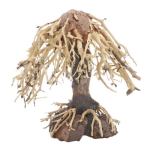 DUPLA Weeping Willow 1 -Prírodná drevená dekorácia do sladkovodného akvária 15x10x16 cm